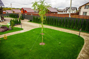 artificial grass neatly installed in a lawn