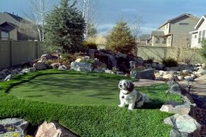 fake grass installed for pets